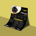 Flyers Design