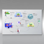 Infographics Design